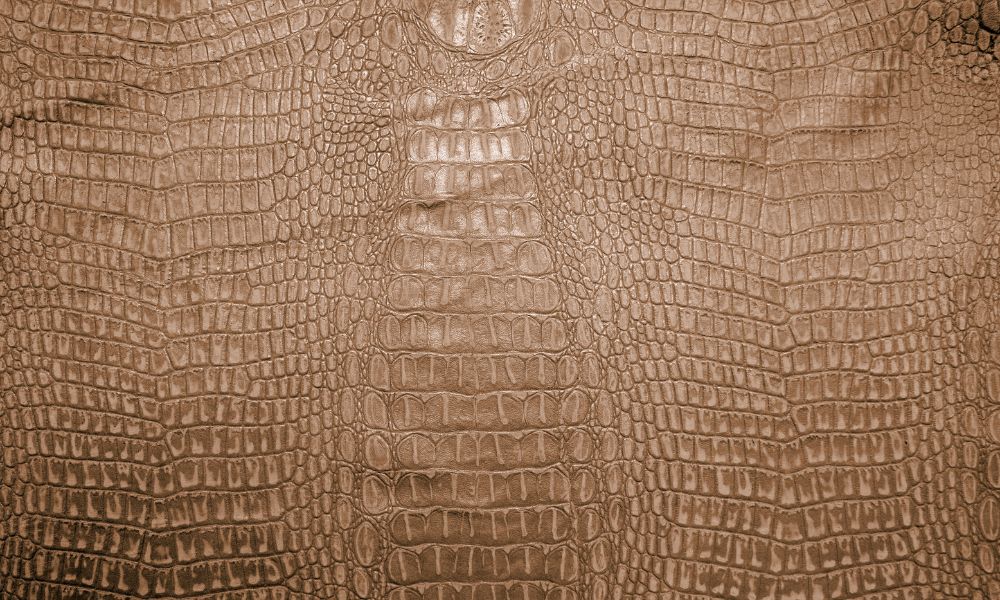 Crocodile Leather - When to Use This Durable, Exotic Leather