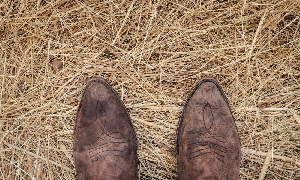 What To Do When Suede Shoes & Boots Get Wet